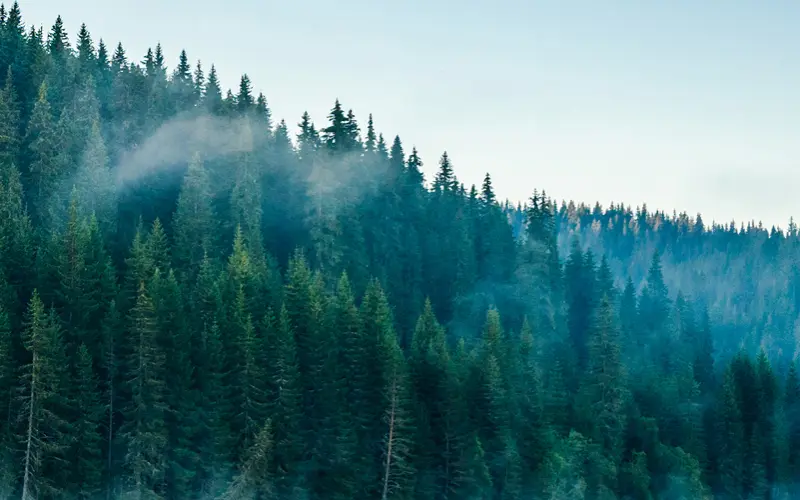 Sustainability