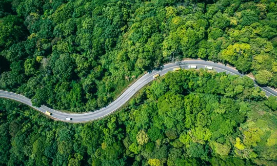 Sustainability Supply Chain