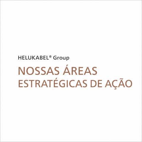 NOSSAS ÁREAS ESTRATÉGICAS DE AÇÃO