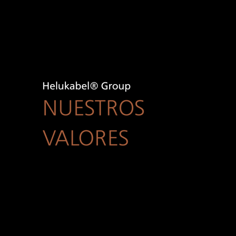 NUESTROS VALORES