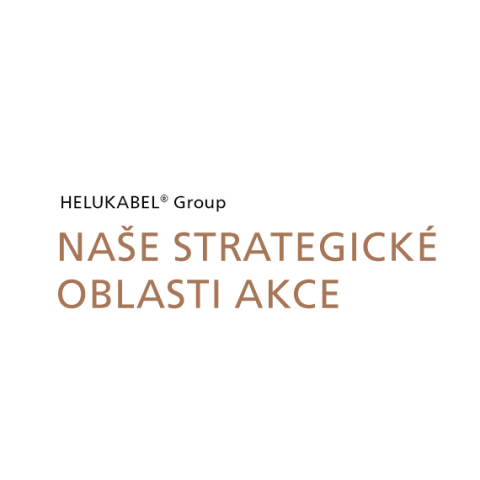 NAŠE STRATEGICKÉ OBLASTI AKCE