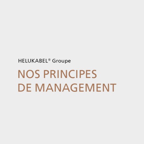 Nos principes de management