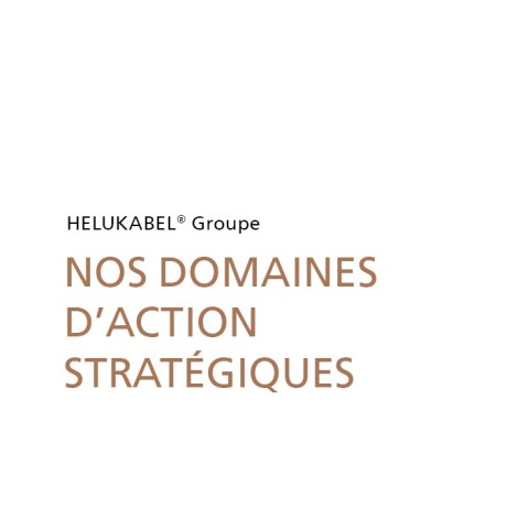 Nos stratégies d'action