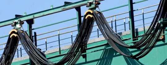 festoon kabel
