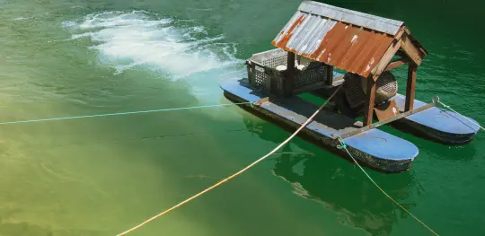 Fish Farm