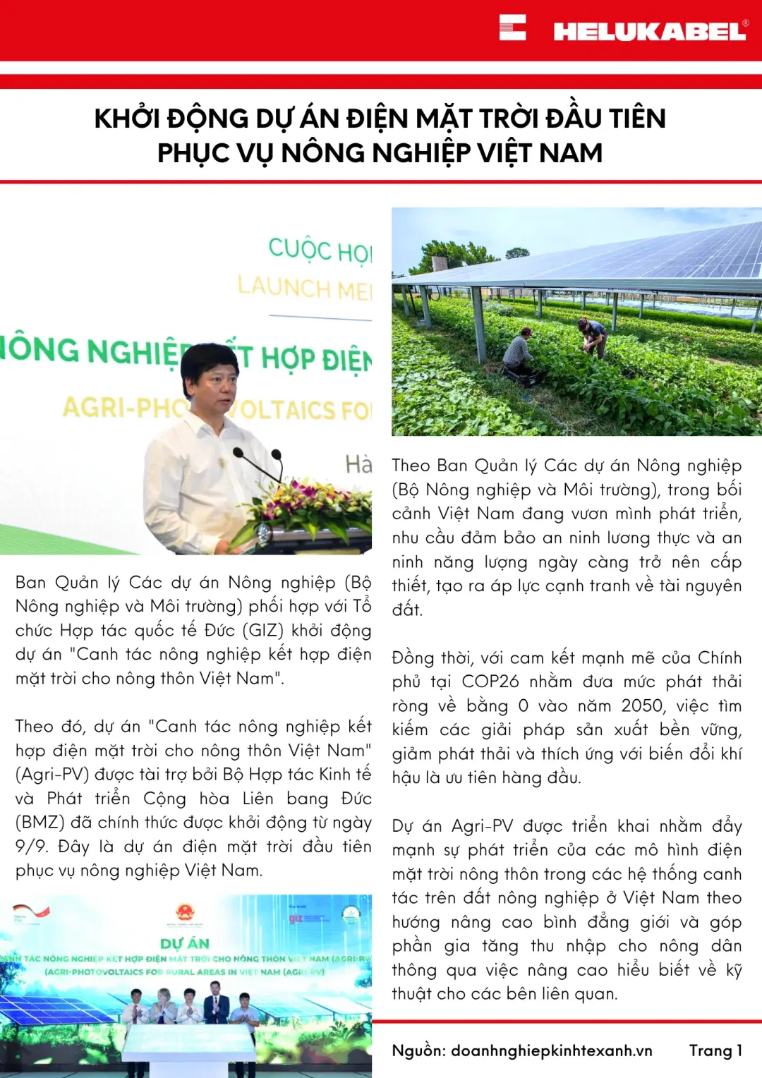 Bản tin HELUKABEL quý 3/2025