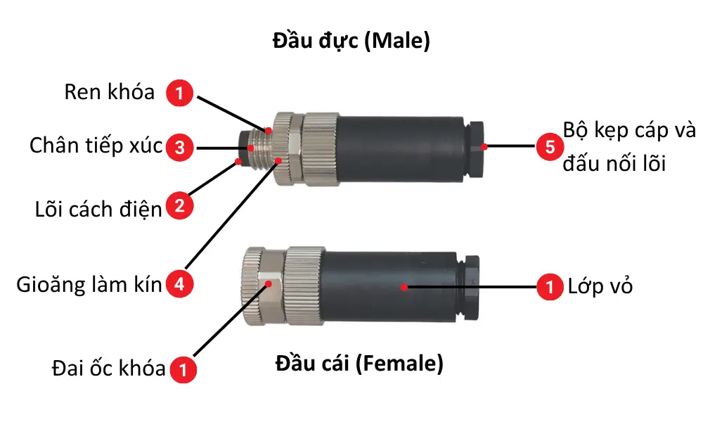 Detailed construction of the M12 circular connector
