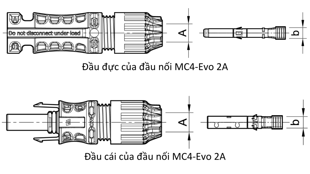 Phân biệt đầu đực và đầu cái MC4-Evo 2A 1