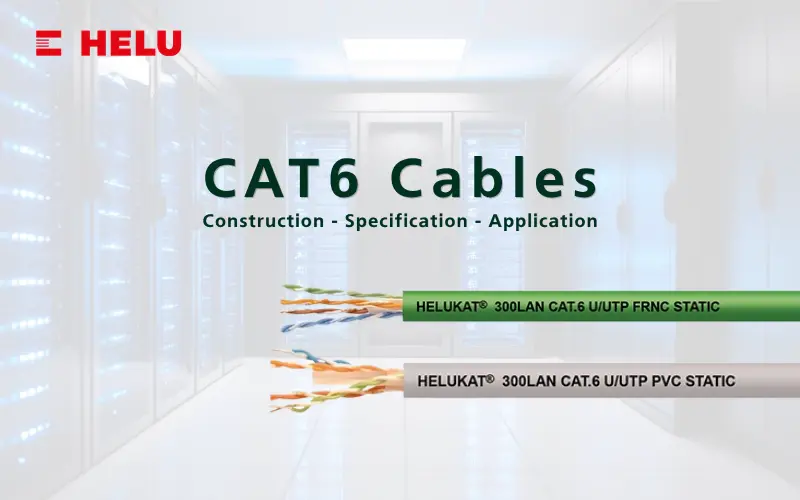 Dây mạng Cat6 là gì? Cấu tạo, thông số kỹ thuật và ứng dụng