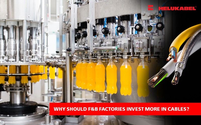 Lựa chọn dây cáp điện cho ngành F&B