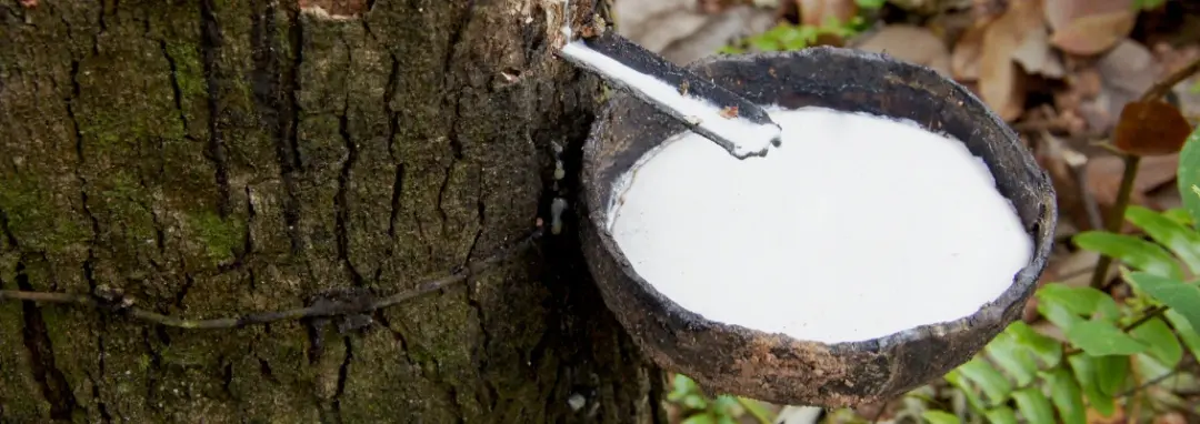 Natural rubber
