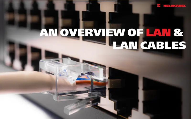 Mạng LAN là gì - Dây cáp mạng LAN