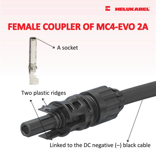 How to differentiate MC4-Evo 2A’s male and female couplers 3