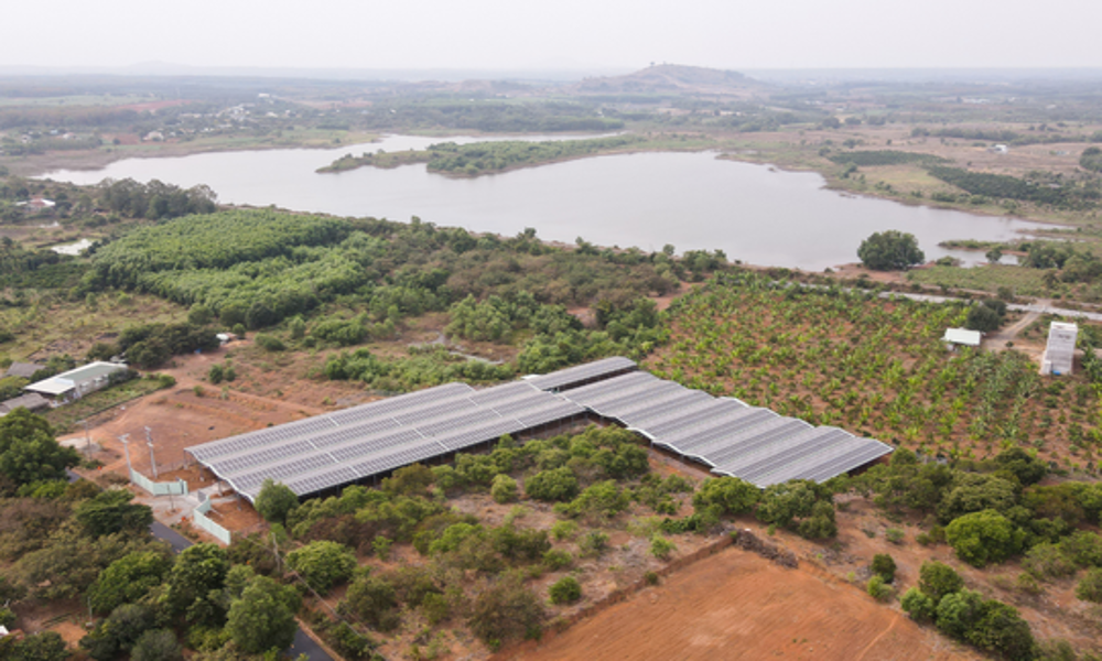 The solar power project at the mushroom farm in Long Tan, Ba Ria–Vung Tau, uses power cable solutions from HELU Vietnam