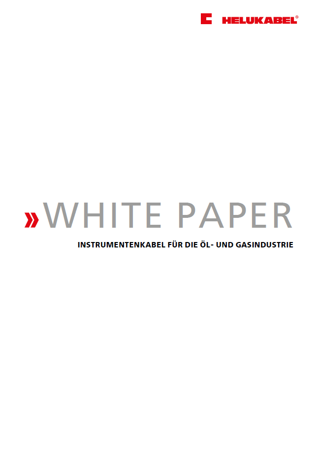 White Paper: Oil & Gas