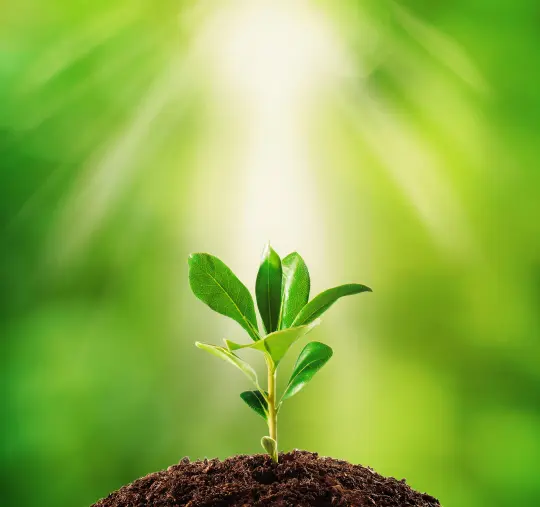 Image Sustainability