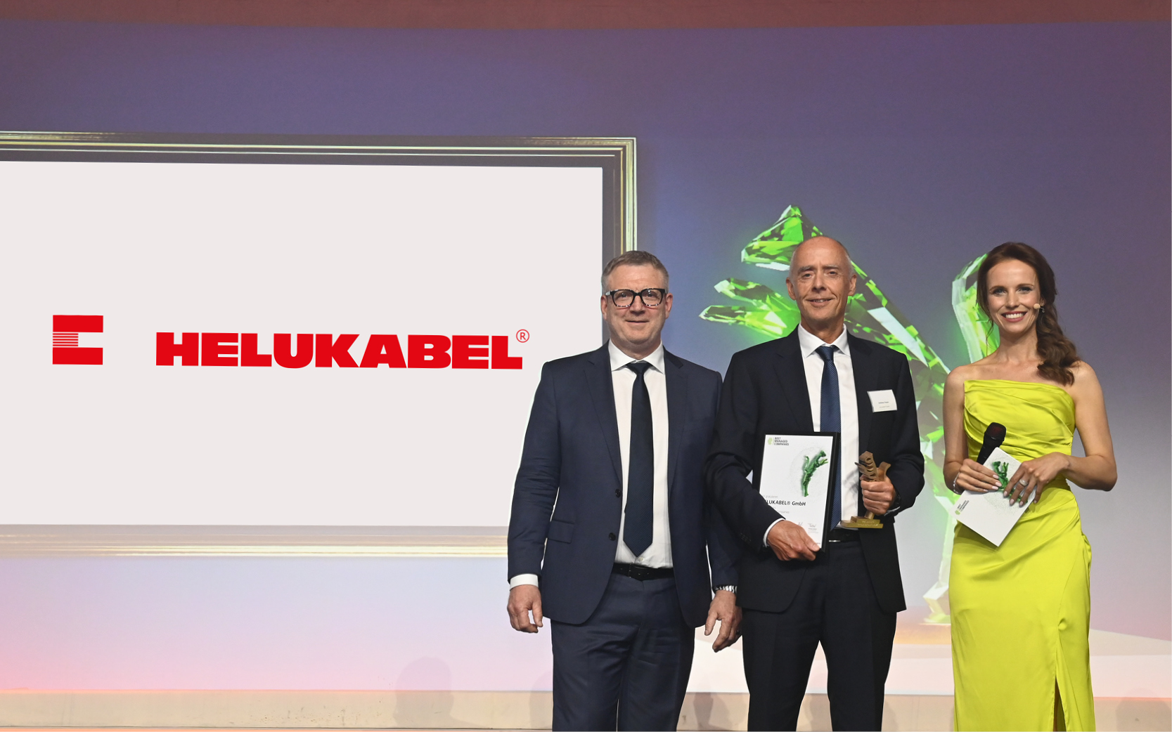 HELUKABEL recieveing an award