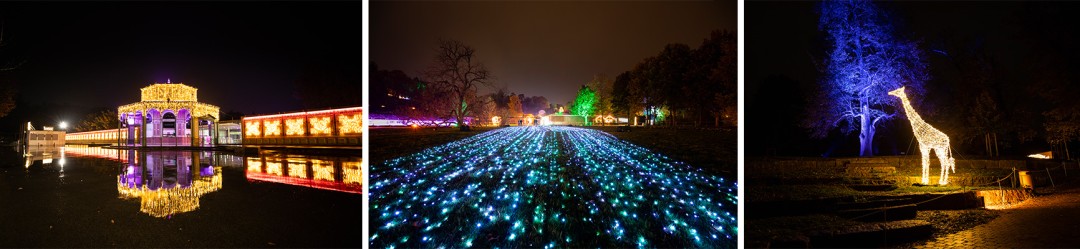 Illuminated christmas garden in Wilhelma Stuttgart