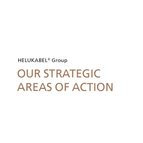 OUR STRATEGIC AREAS OF ACTION