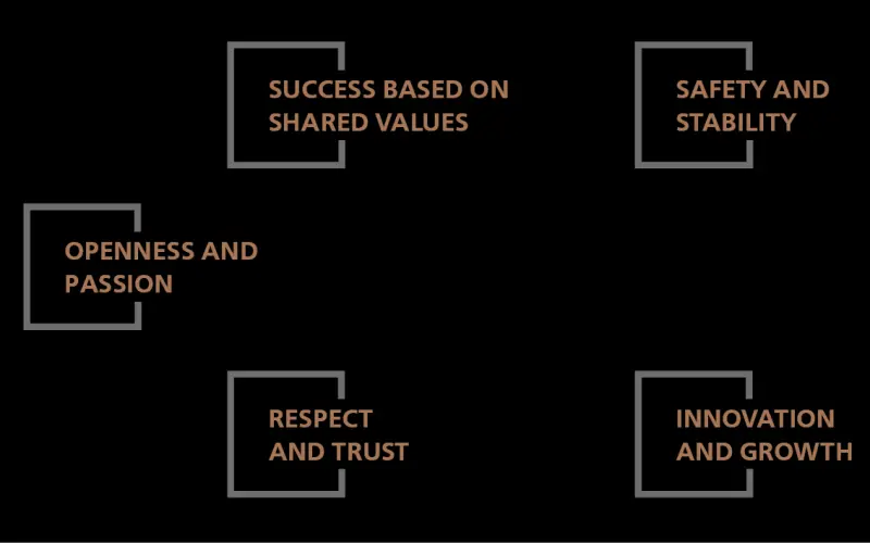 immagine dei principi guida di HELU