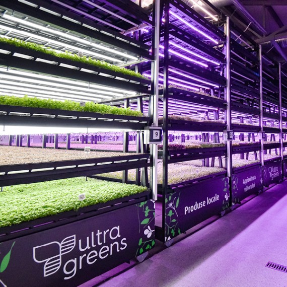 Vertical farming pioneer Ultragreens relies on cables and wires from HELU