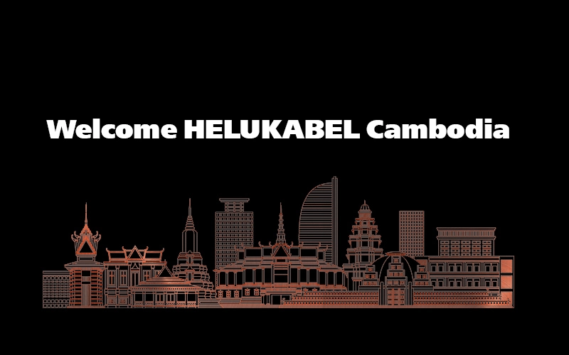 Established Subsidary in Cambodia