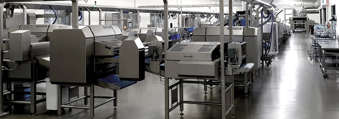 AMF烘焙系统专业为烘焙行业制造全自动生产设备