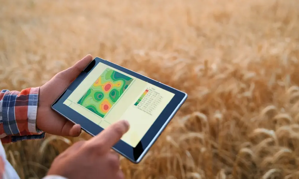 Hiện nay, ngày càng nhiều nông dân sử dụng công nghệ số và phân tích dữ liệu để tối ưu hóa quy trình sản xuất