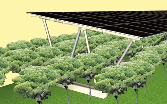 The use of agricultural spaces for producing solar energy, which is called agrivoltaics, is becoming more and more popular.