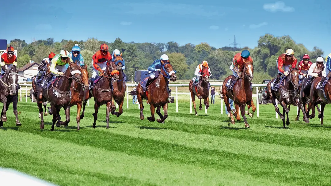 Pferde auf einer Galopprennbahn