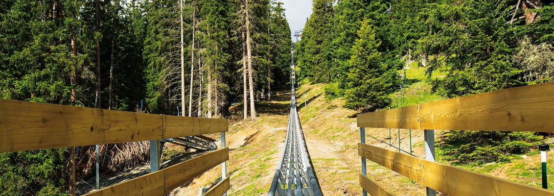 Toboggan in the nature