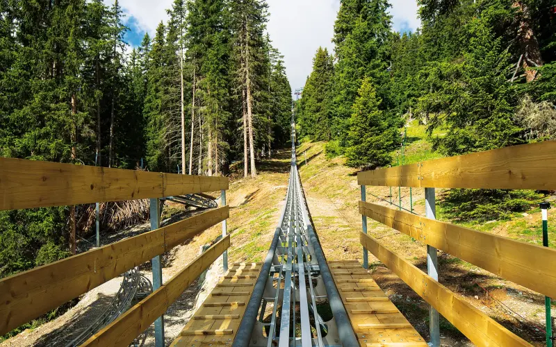 Tobogganing fun in the mountains
