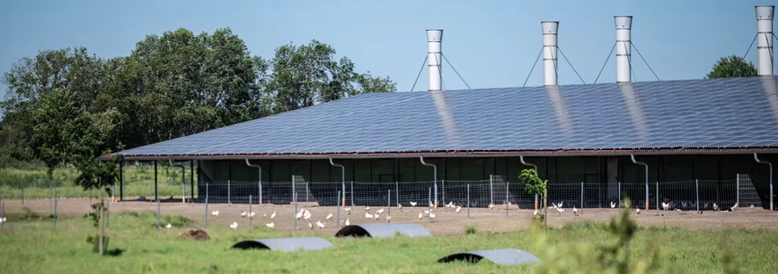 Successstory_Big_Dutchman1