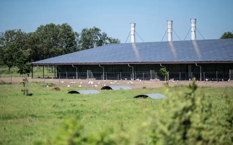 Agricultural Building
