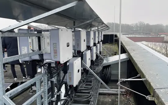 Successtory Big Dutchman 2