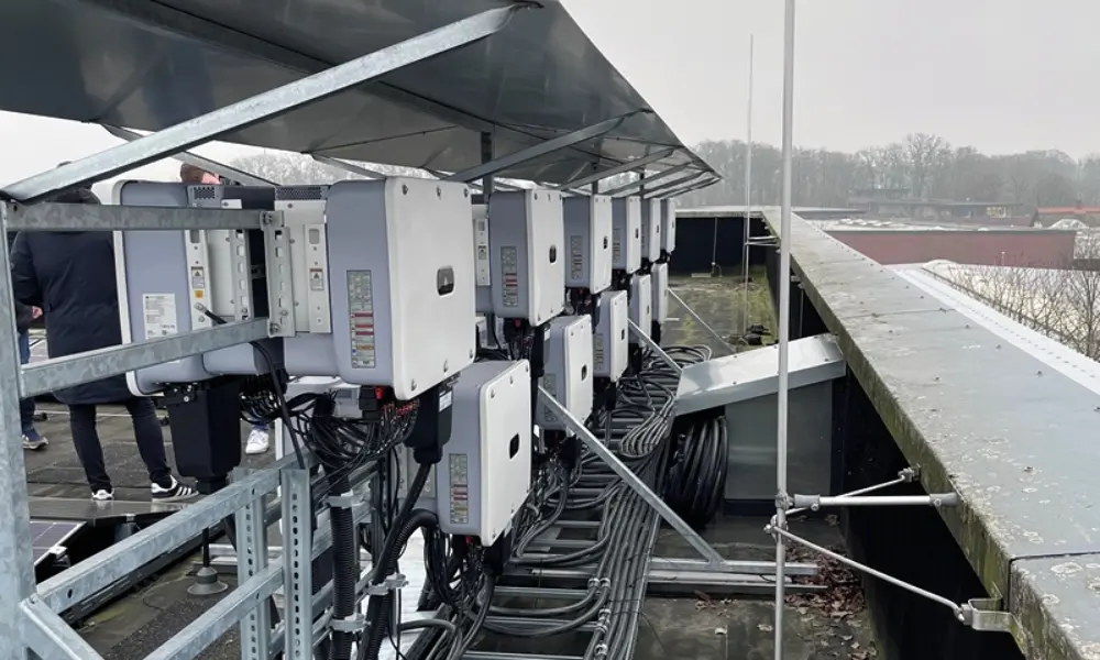 Successstory_Big_Dutchman2