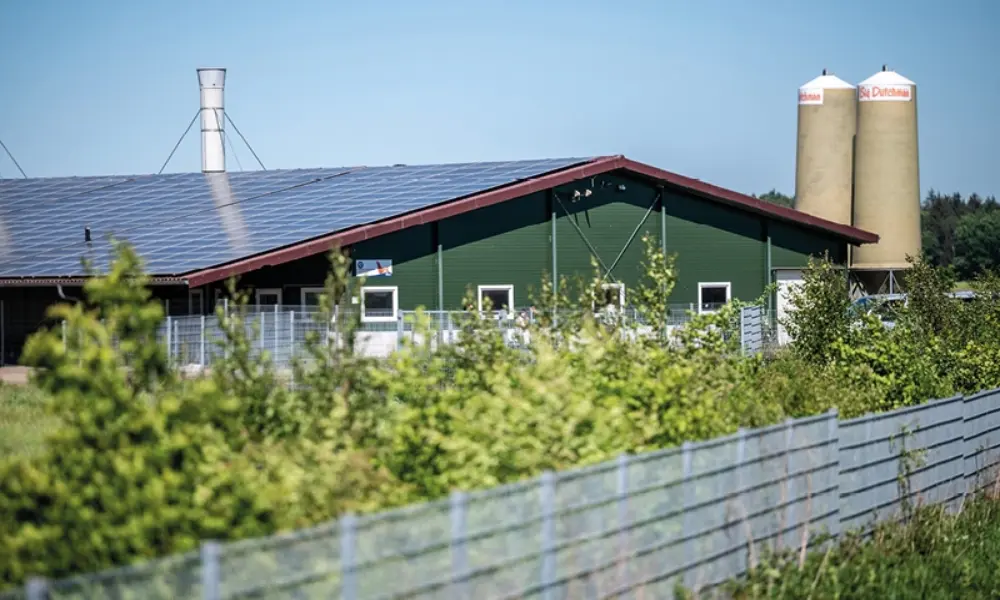 Successstory_Big_Dutchman3